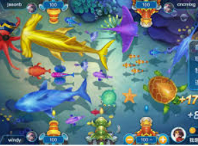 kiayun入口2024最新版