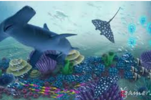 kiayun入口正式版